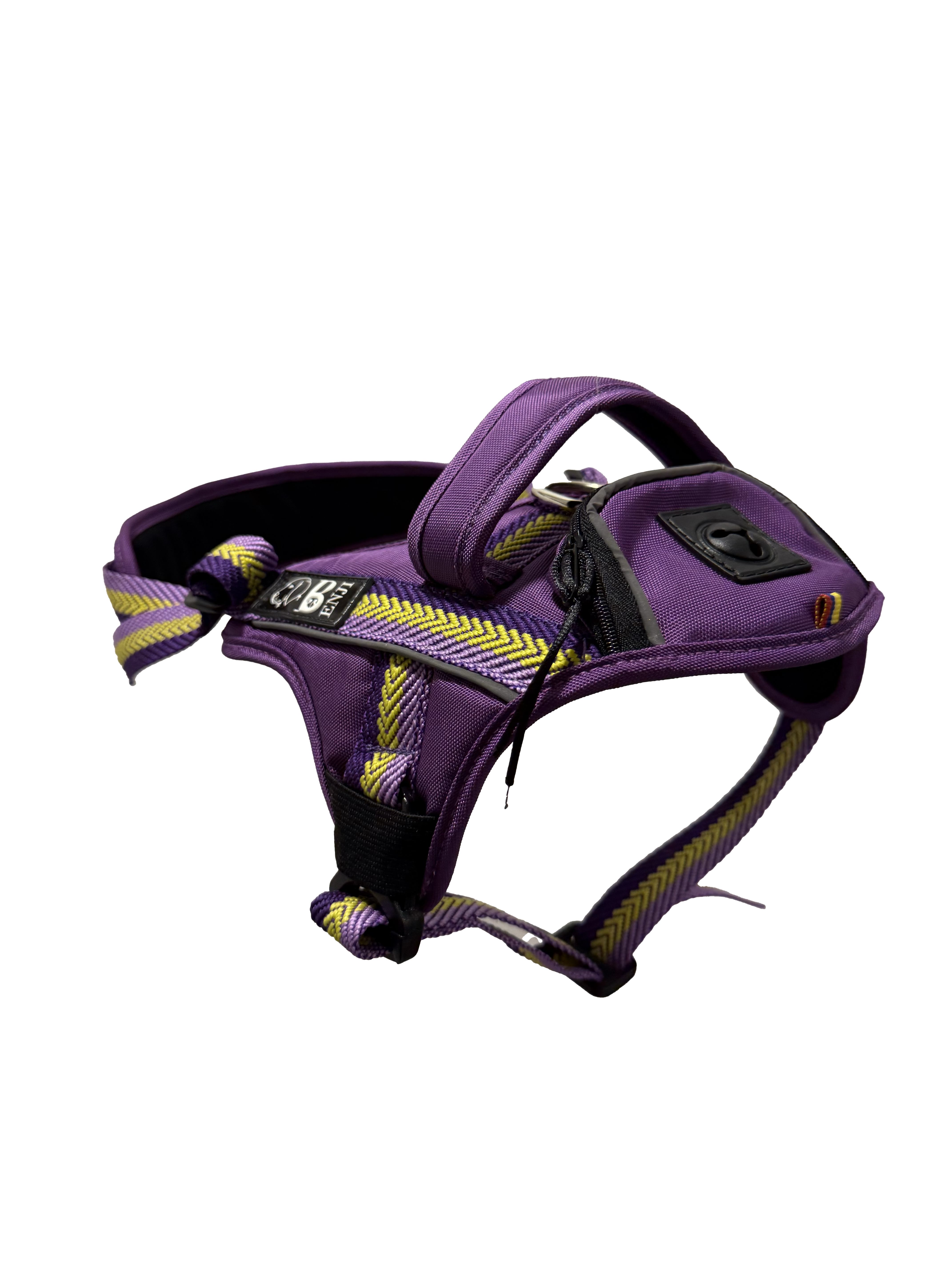 CARGO PURPLE D ARNES