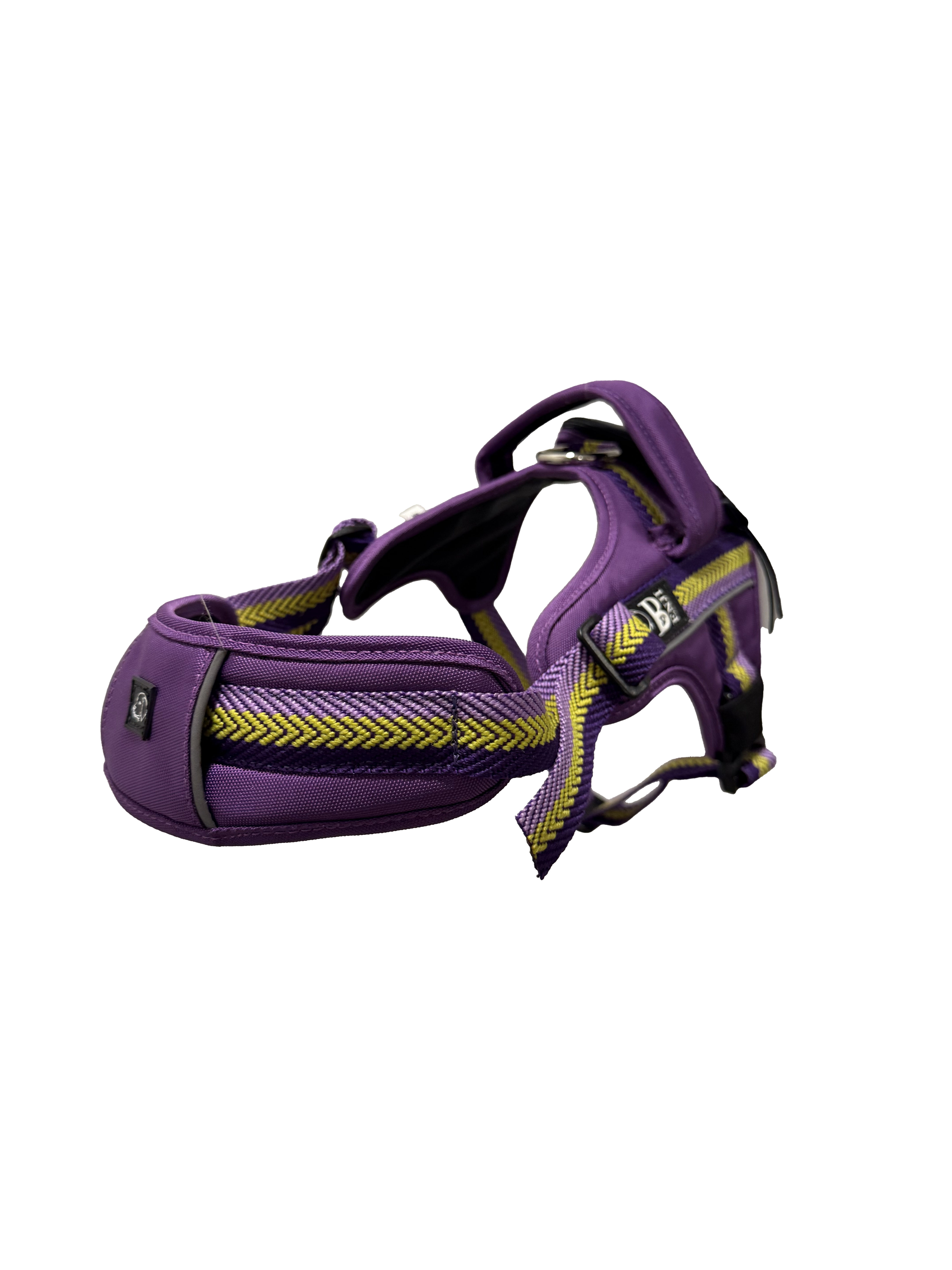 CARGO PURPLE D ARNES