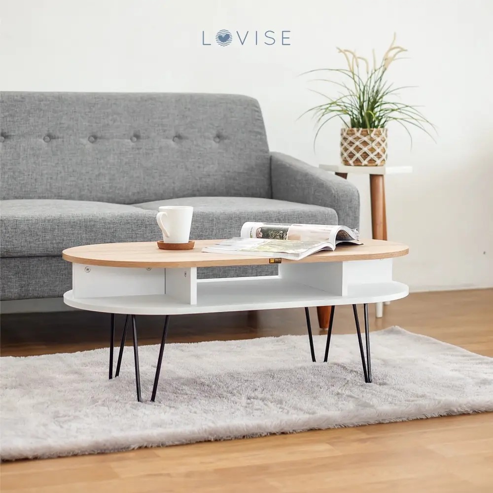 Modern Coffee Table