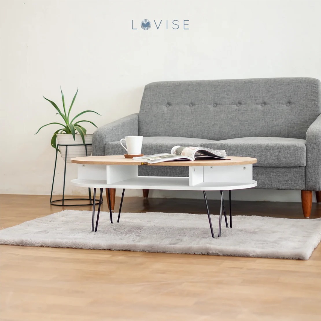 Modern Coffee Table