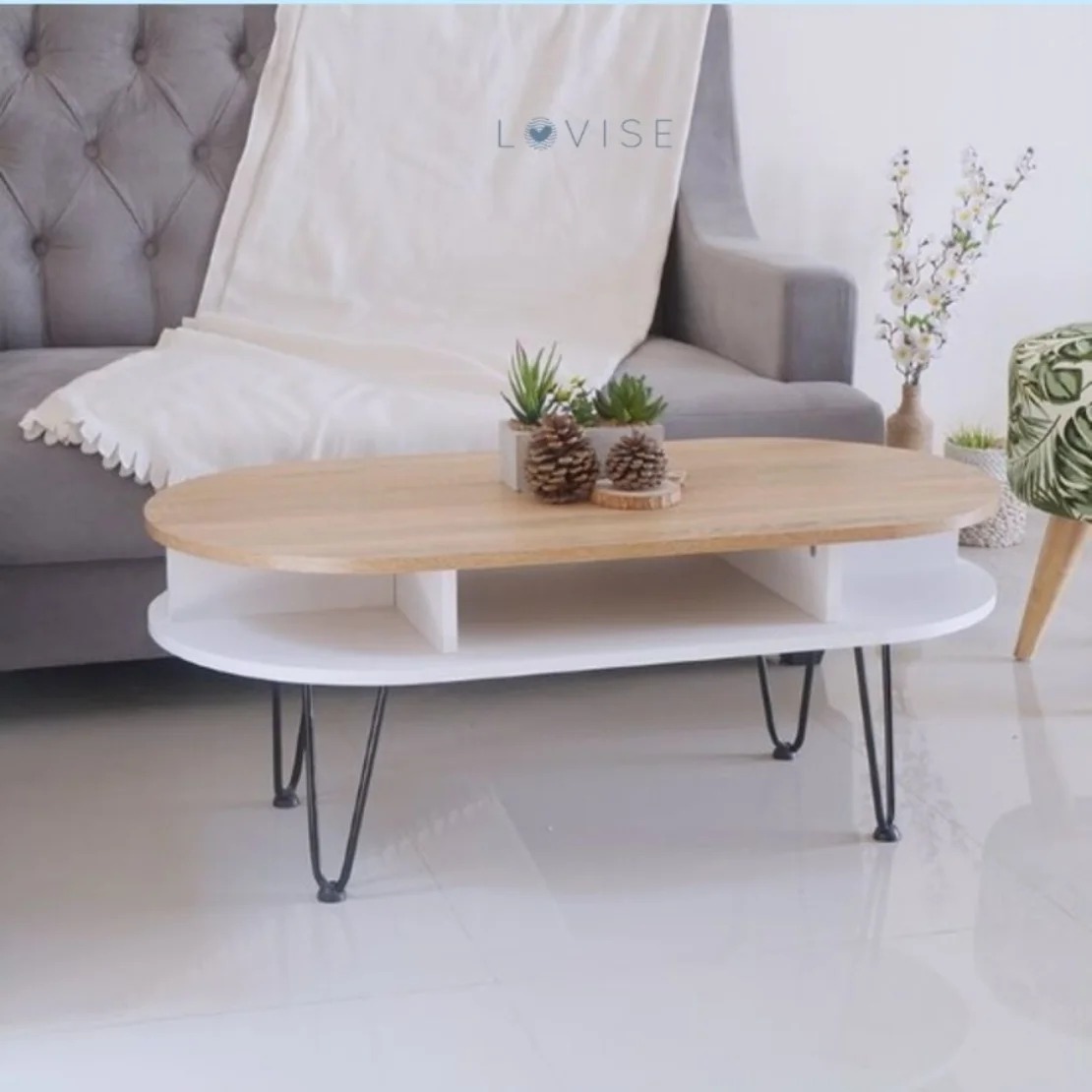Modern Coffee Table