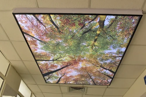 Decorative Ceiling