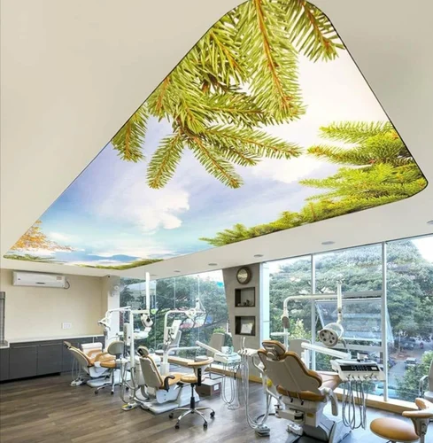 Stretch Ceiling