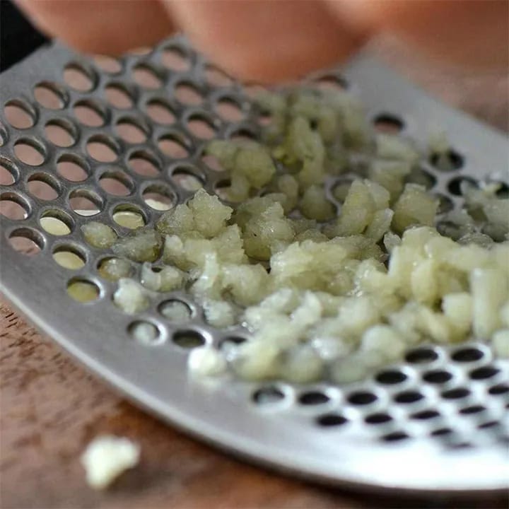 Stainless Steel Garlic Press