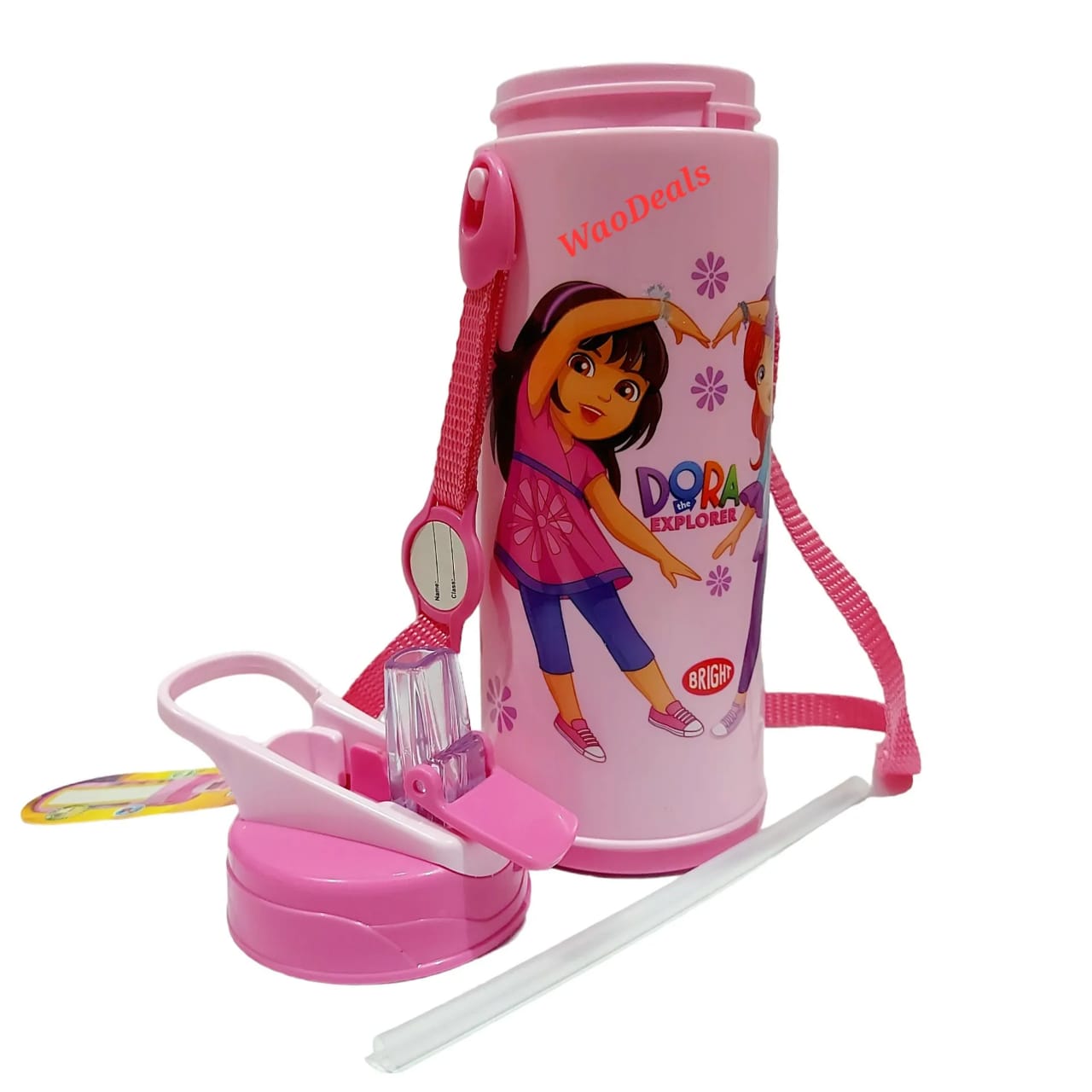 The Ultimate Dora Girls Characters School Water Bottle