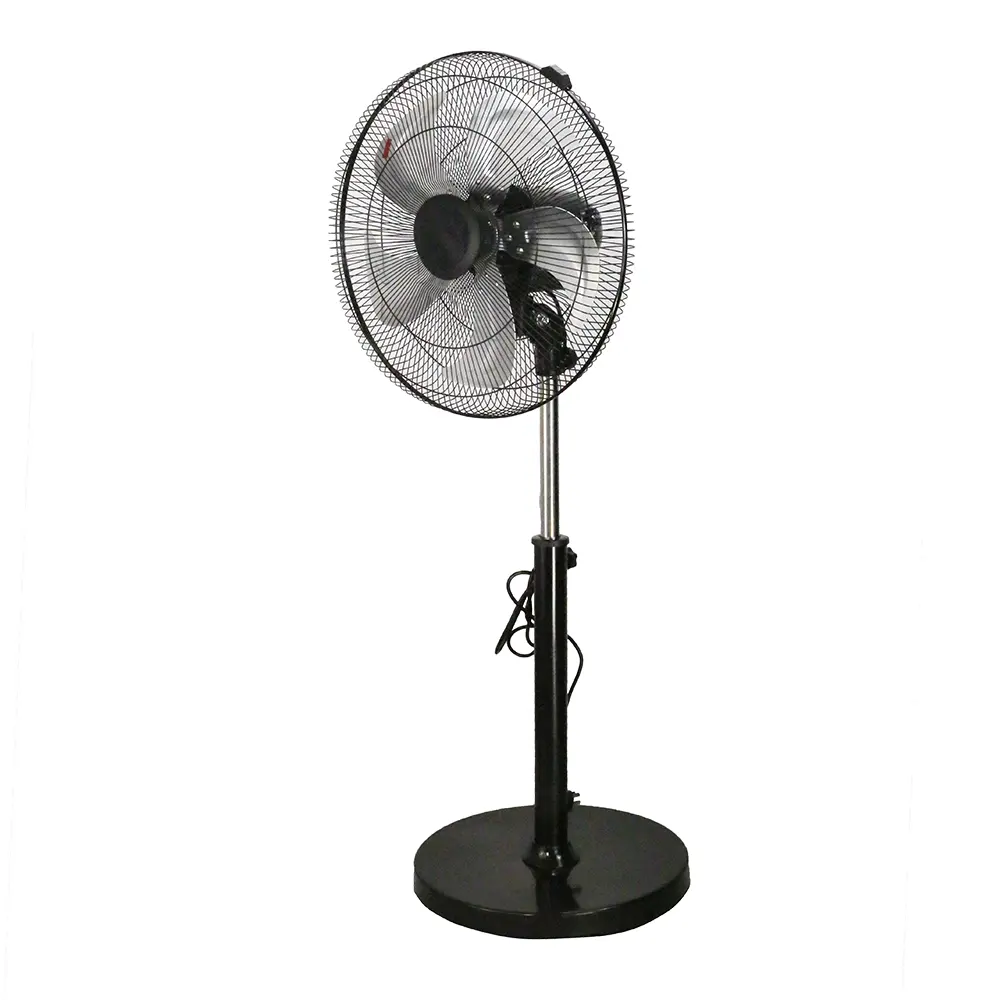 Standing Fan
