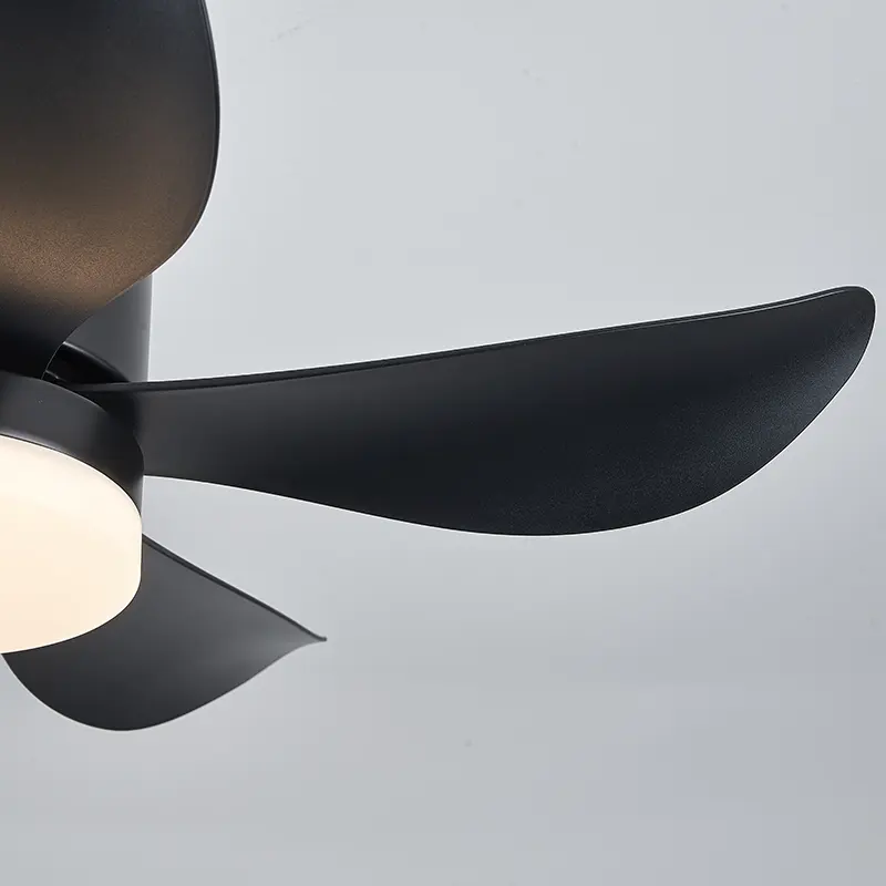 Modern Ceiling Fan
