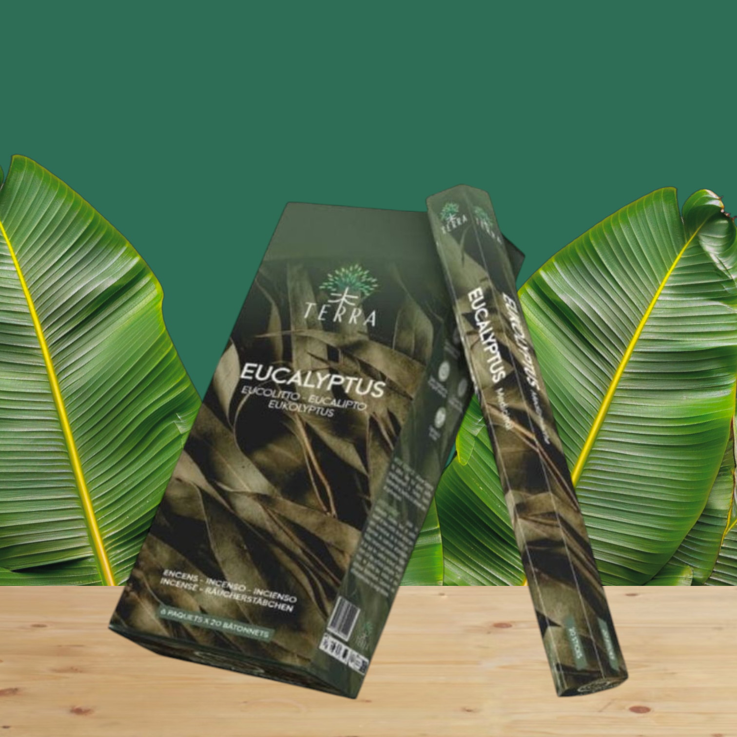 Encens Eucalyptus