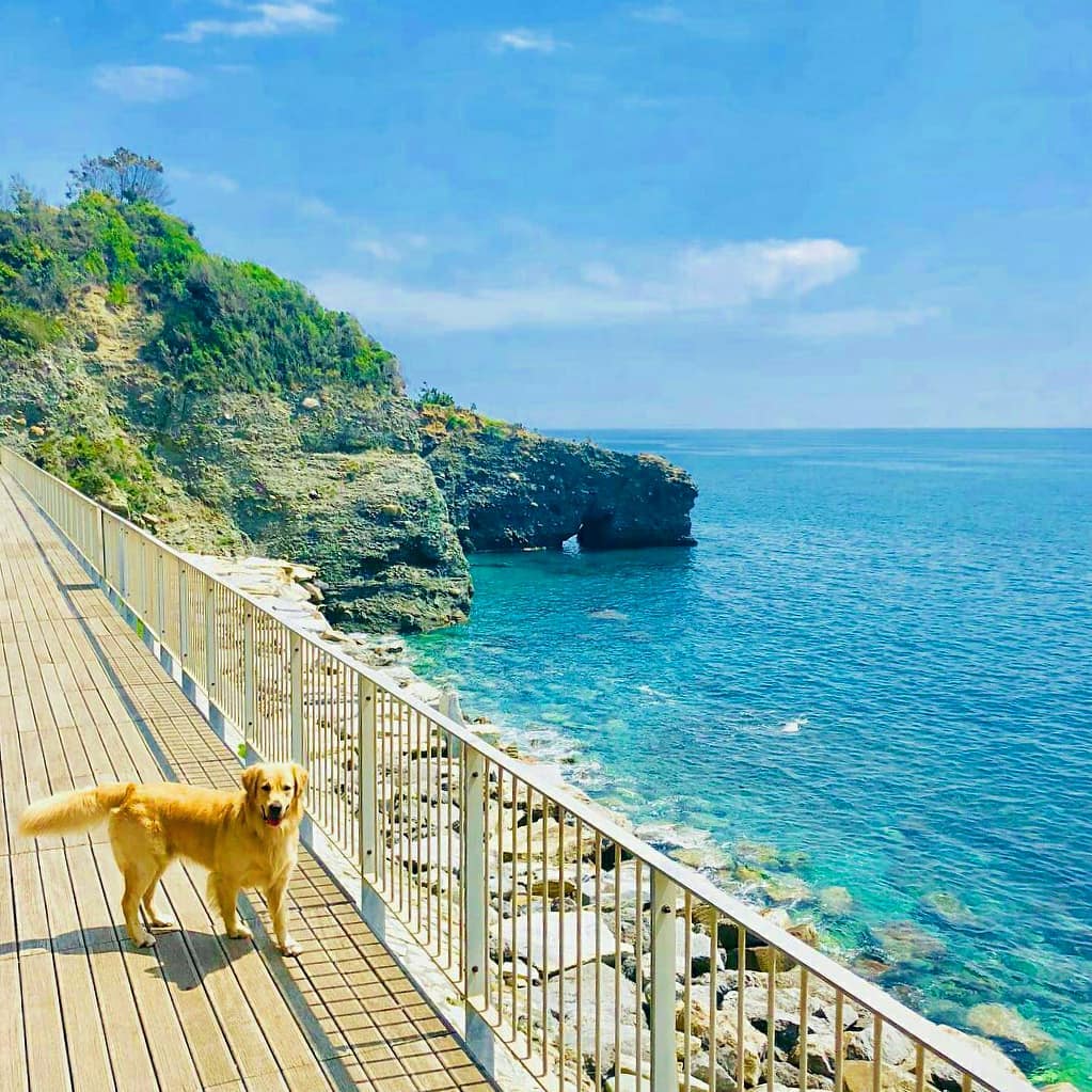 25/07/26 - UNA GIORNATA DI MARE: ALBISSOLA MARINA!