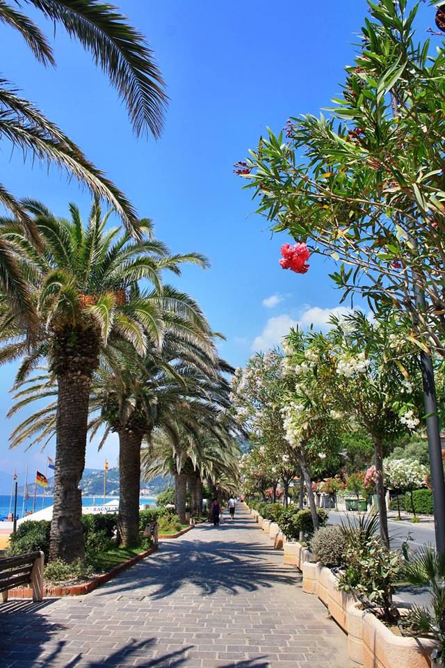 28/06/26 - GIORNATA MARE A FINALE LIGURE