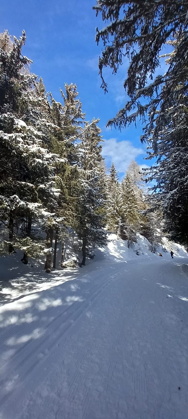 03/01/26 - TORGNON in inverno: paesaggi innevati e parco giochi alpino!