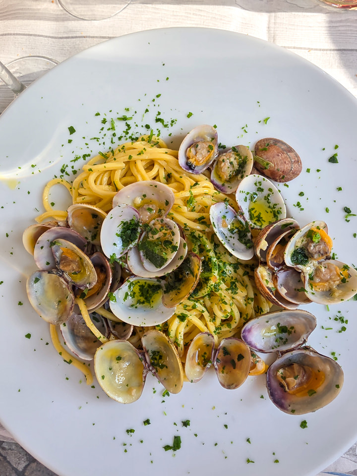 12/04/26 - SENTIERO DEI CETACEI IN LIGURIA!