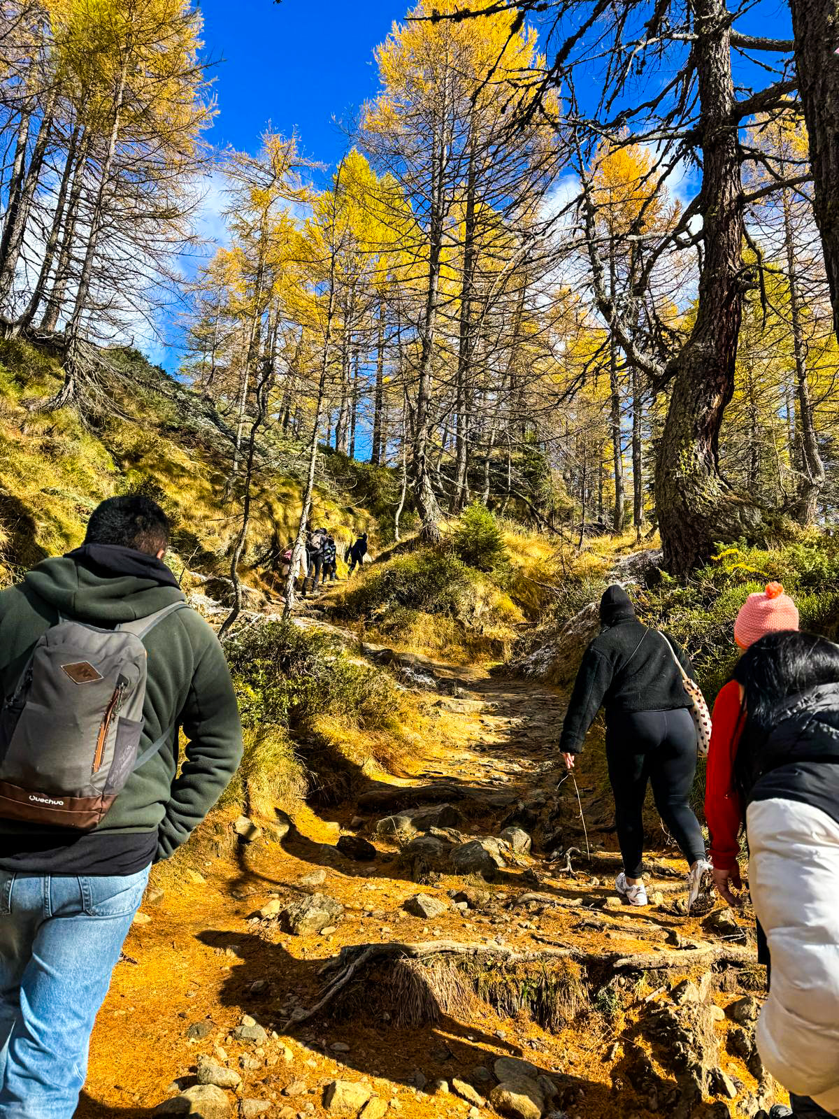 09/11/25 - FOLIAGE AD ALPE DEVERO e LAGO DELLE STREGHE!