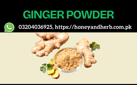 Ginger Powder – Natural Wellness & Spice 🌿✨