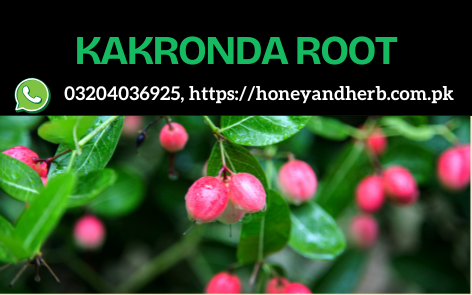 Kakronda Root – A Traditional Herbal Remedy 🌿✨