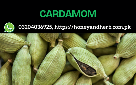 Cardamom – The Queen of Spices 🌿✨
