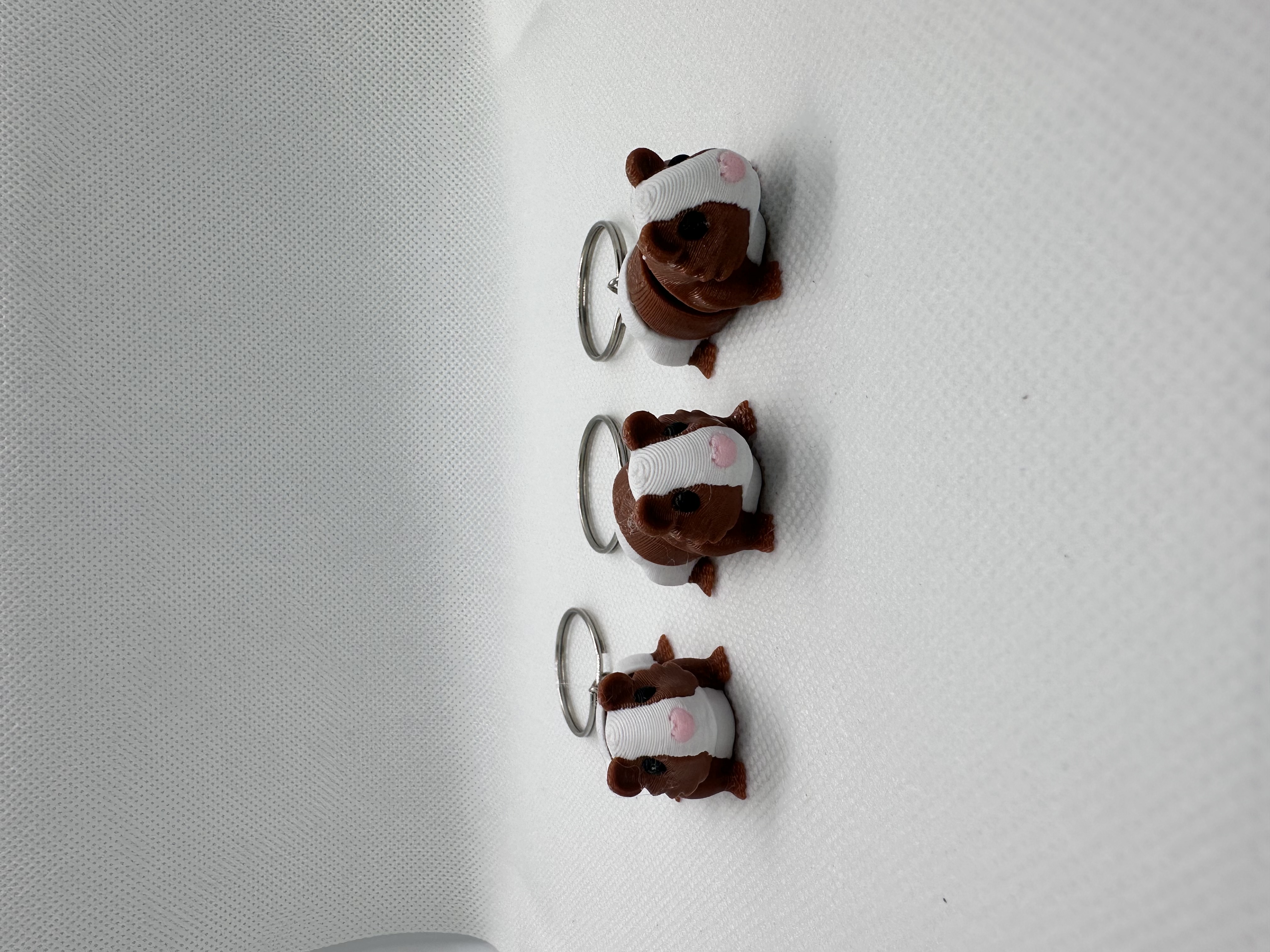 Flexi sleutelhanger Cavia