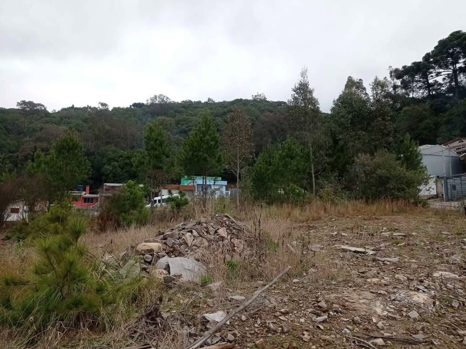 Terreno Caxias do Sul - RS