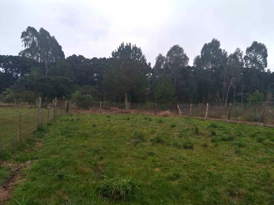 Terreno Canela - RS