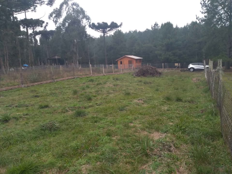Terreno Canela - RS