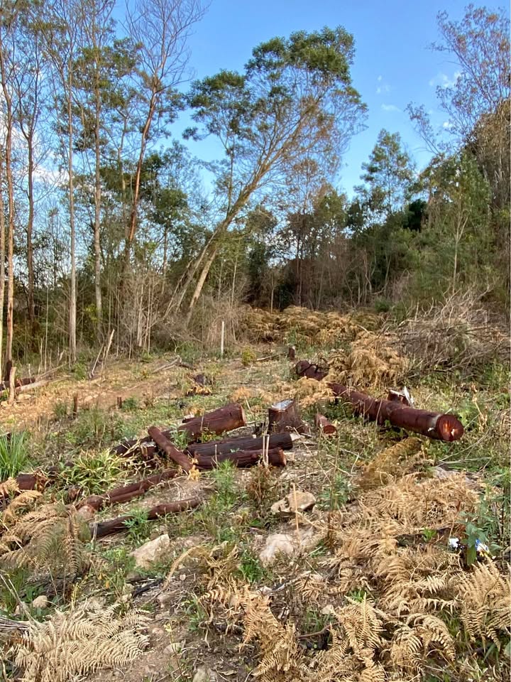 Terreno Caxias do Sul - RS