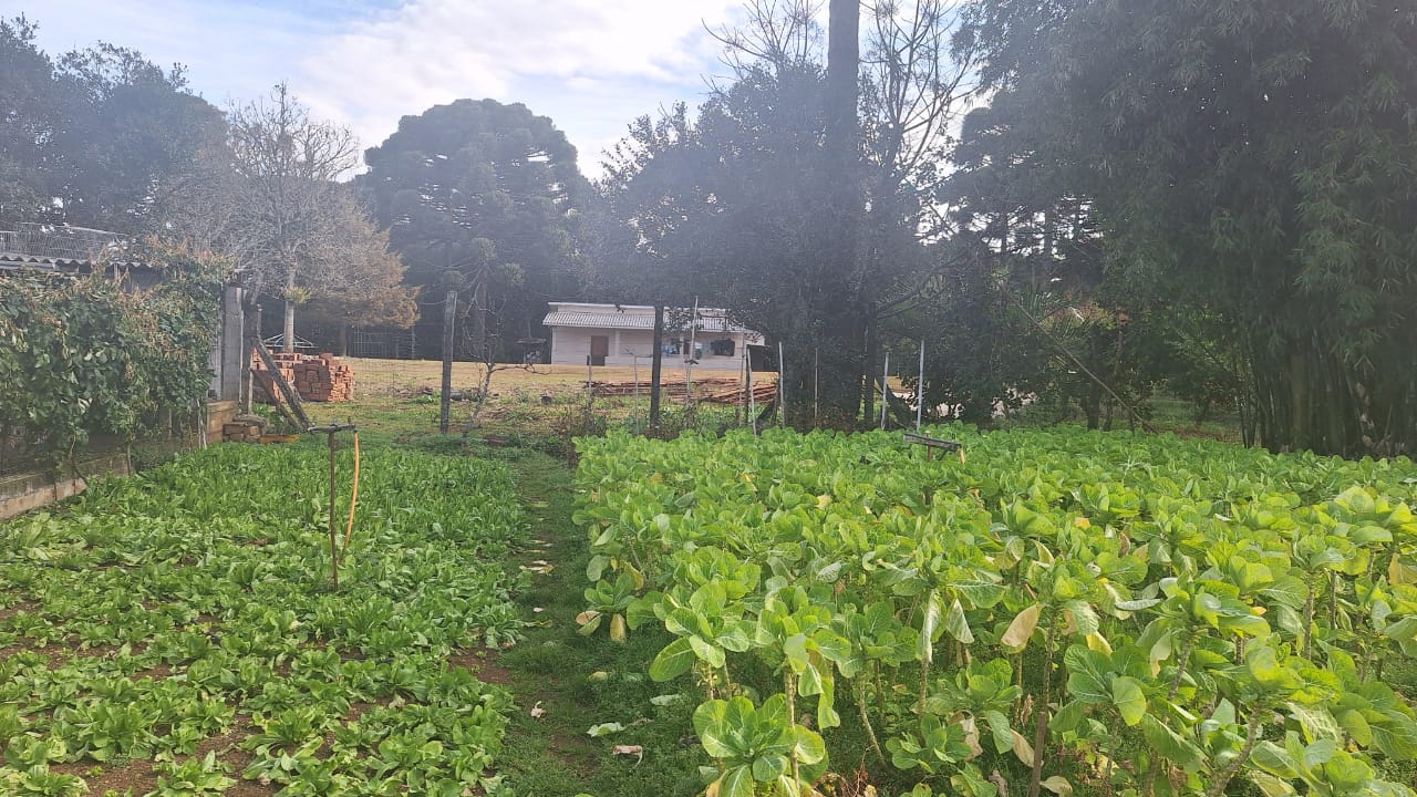 Terreno Vacaria - RS