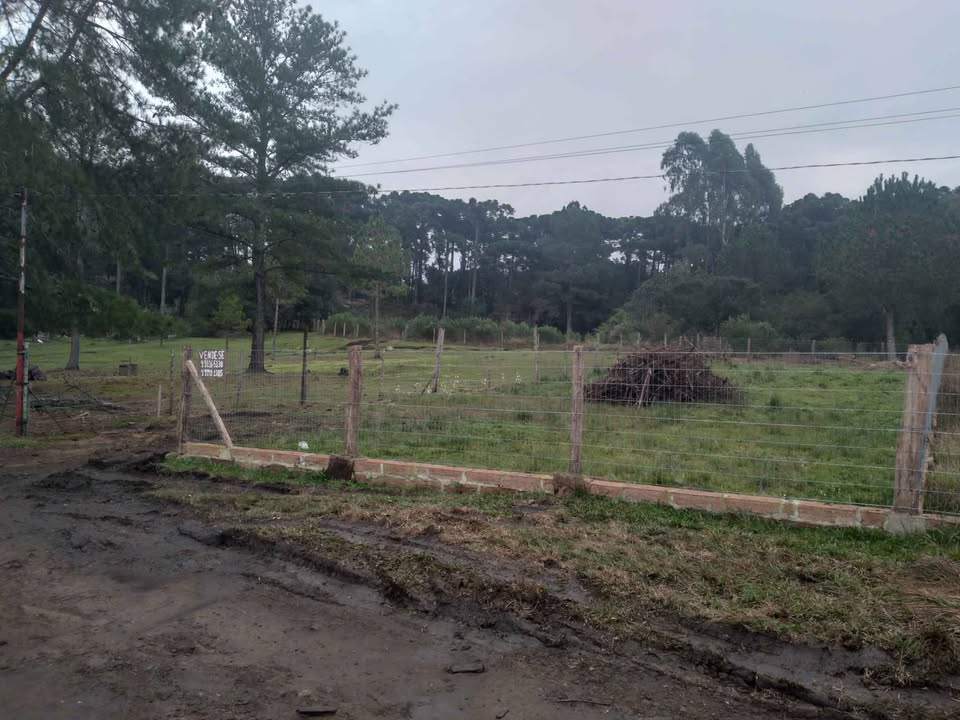 Terreno Canela - RS