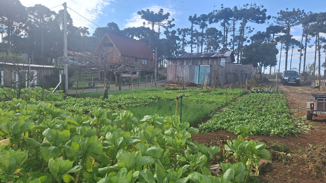 Terreno Vacaria - RS