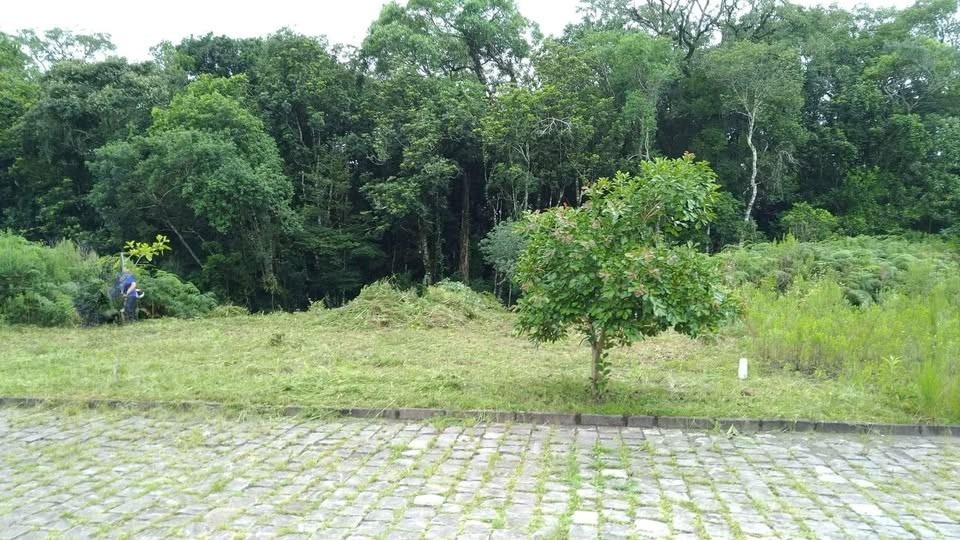 Terreno Caxias do sul - RS