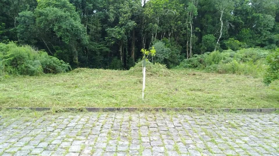 Terreno Caxias do sul - RS
