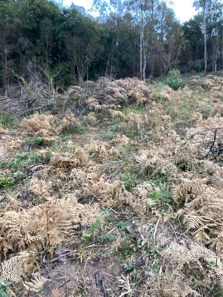 Terreno Caxias do Sul - RS