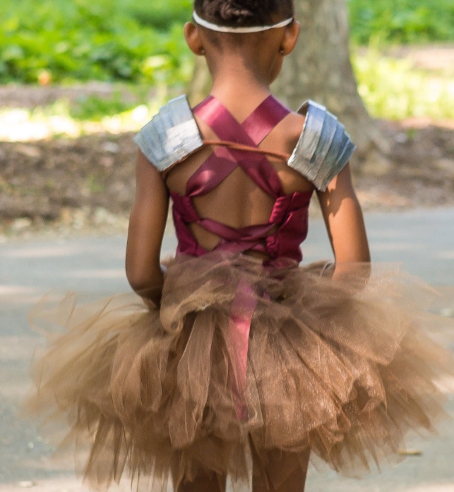 Viking Warrior Princess Tutu Costume