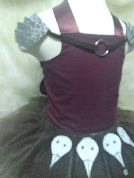 Viking Warrior Princess Tutu Costume