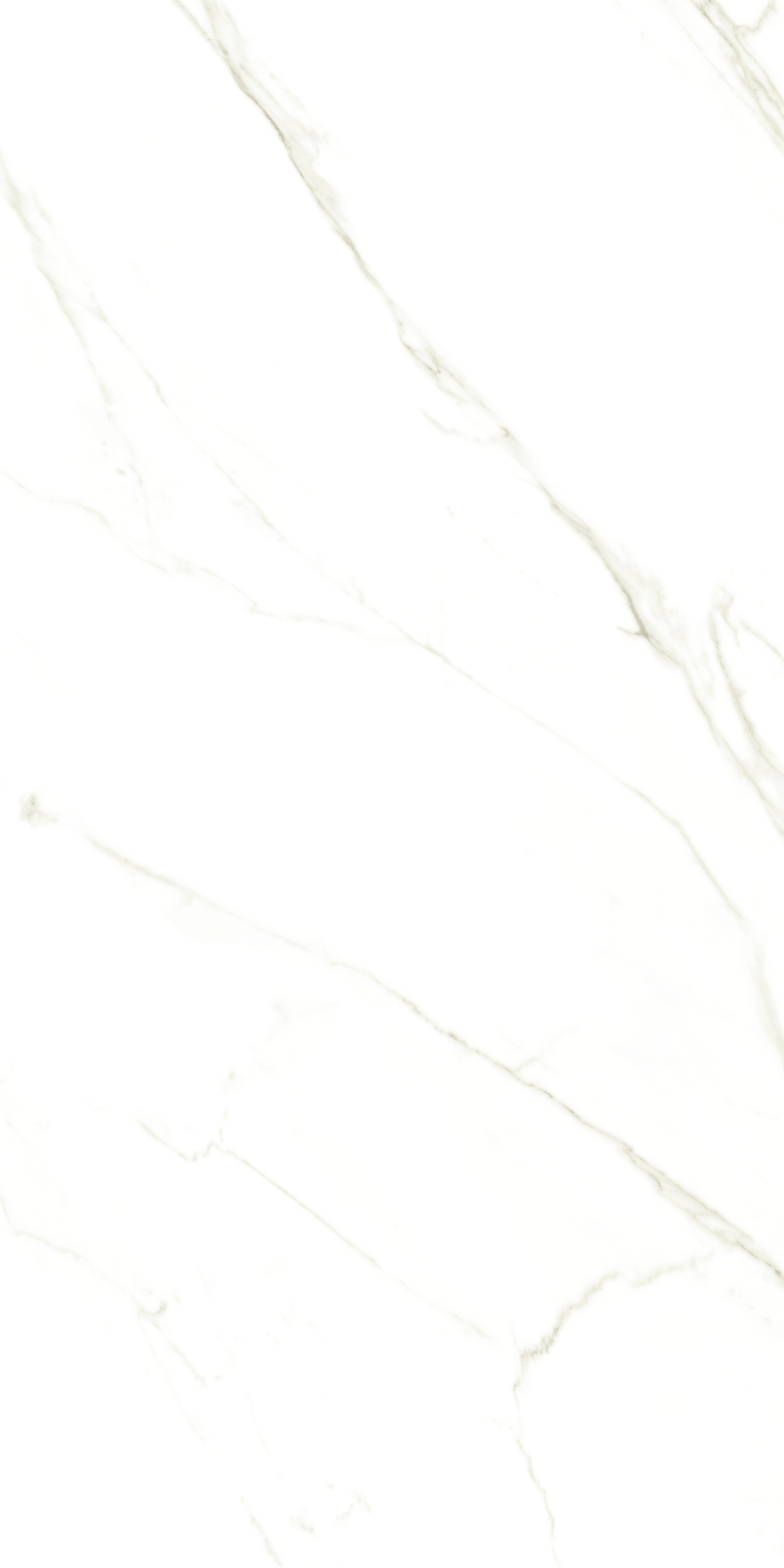 Calacatta effet marbre blanc 60x120cm