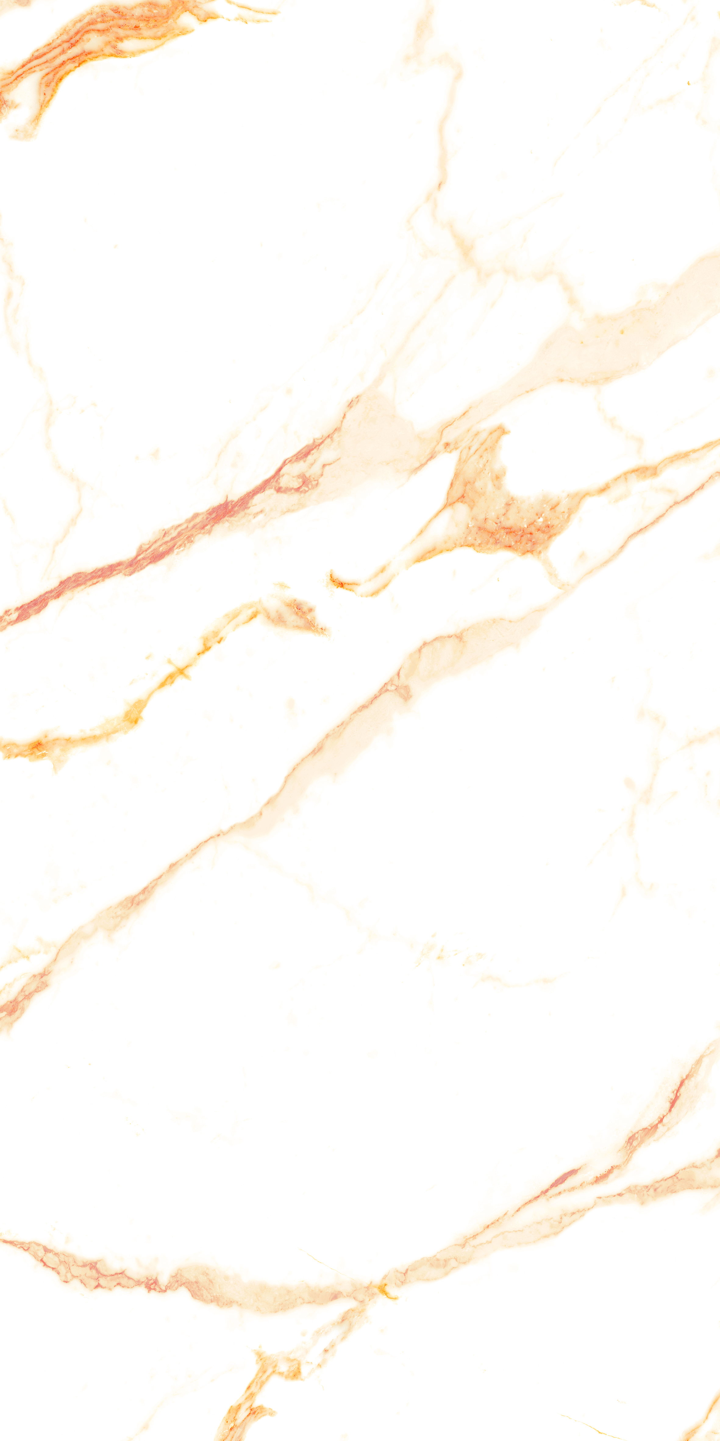 Calacatta Royal 60x120cm marbre blanc nervure dorée