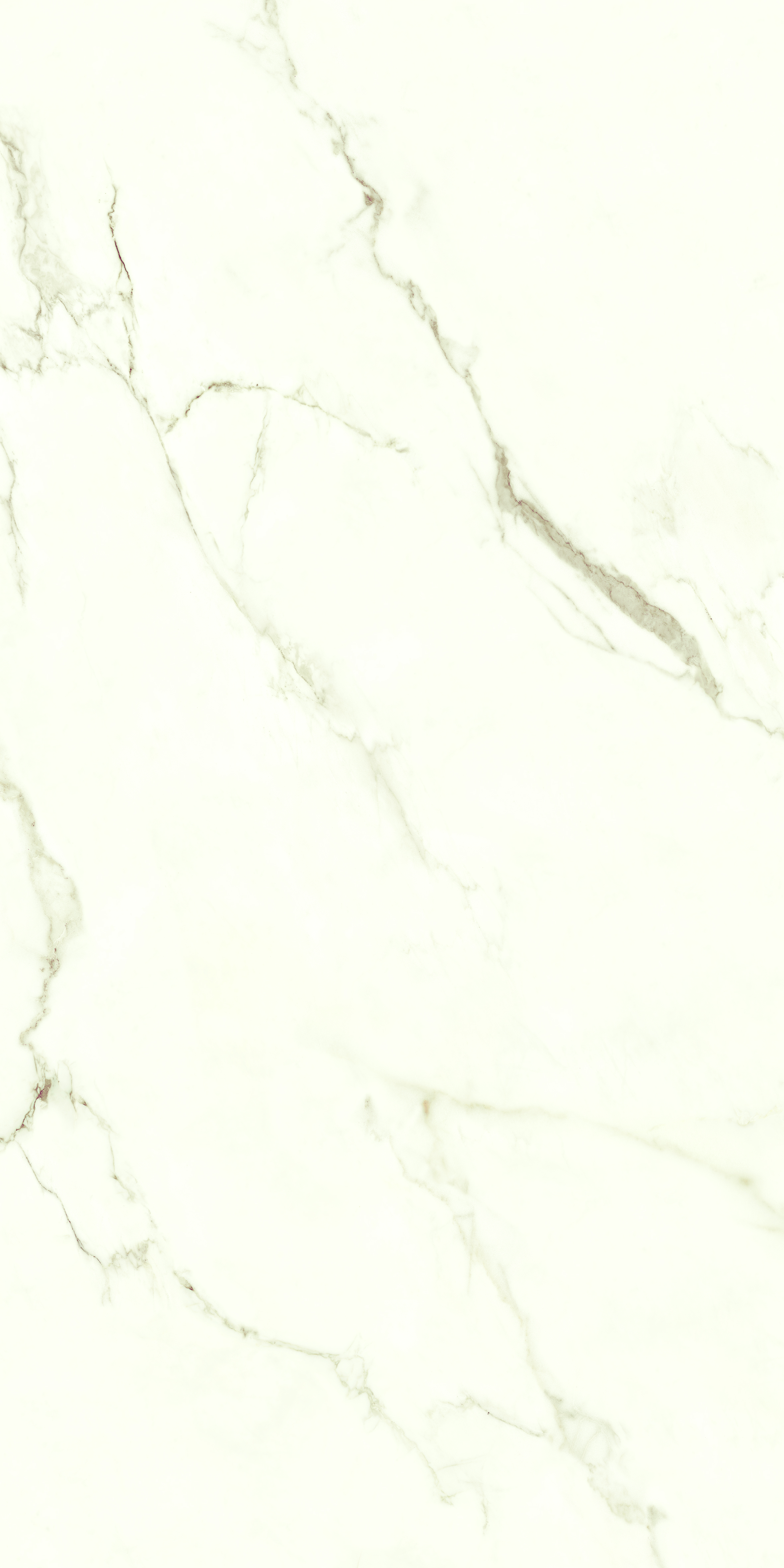 Statuario 60x120 cm effet marbre blanc et gris