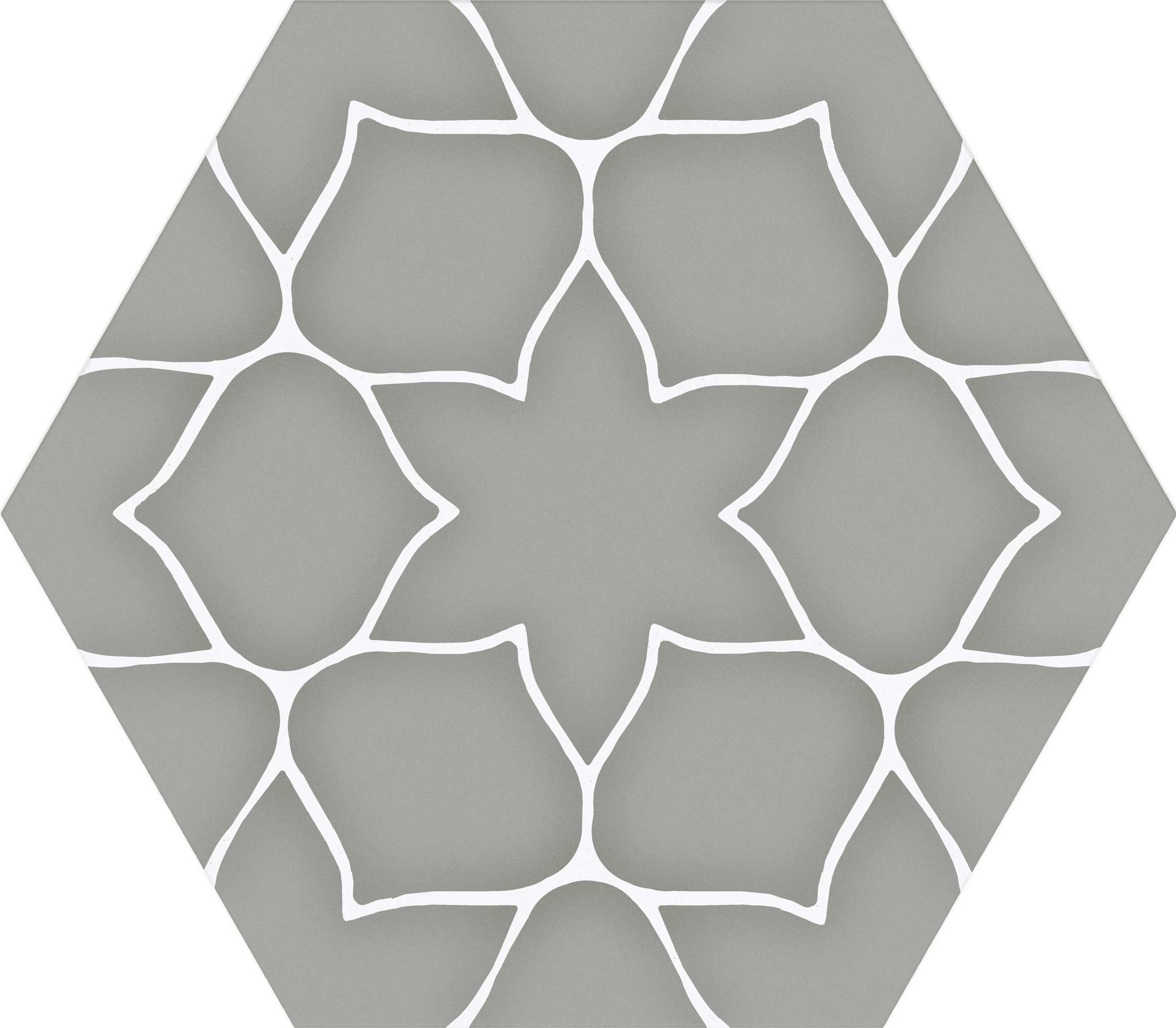 Kerala carreau hexagonal contemporain