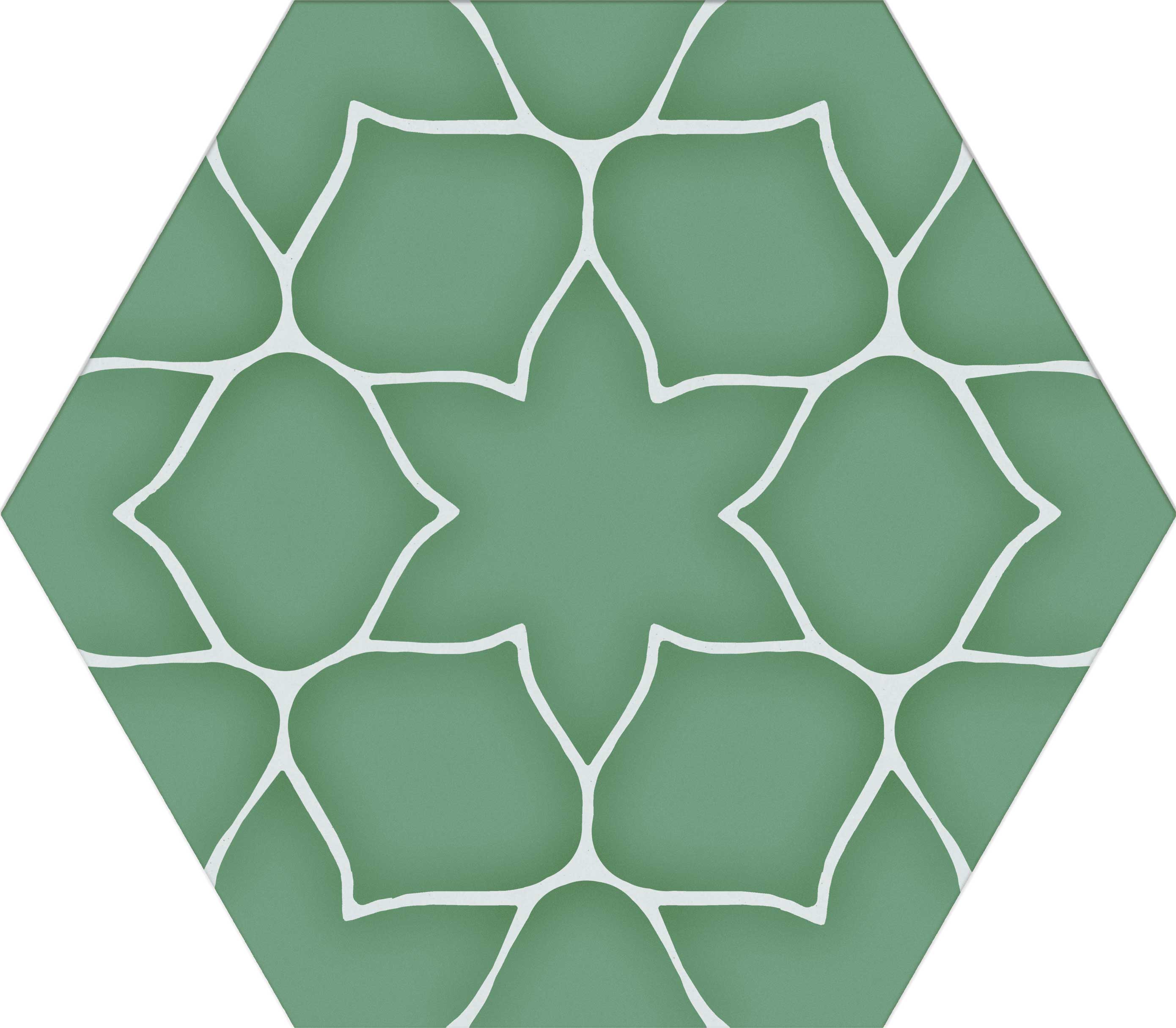 Kerala carreau hexagonal contemporain