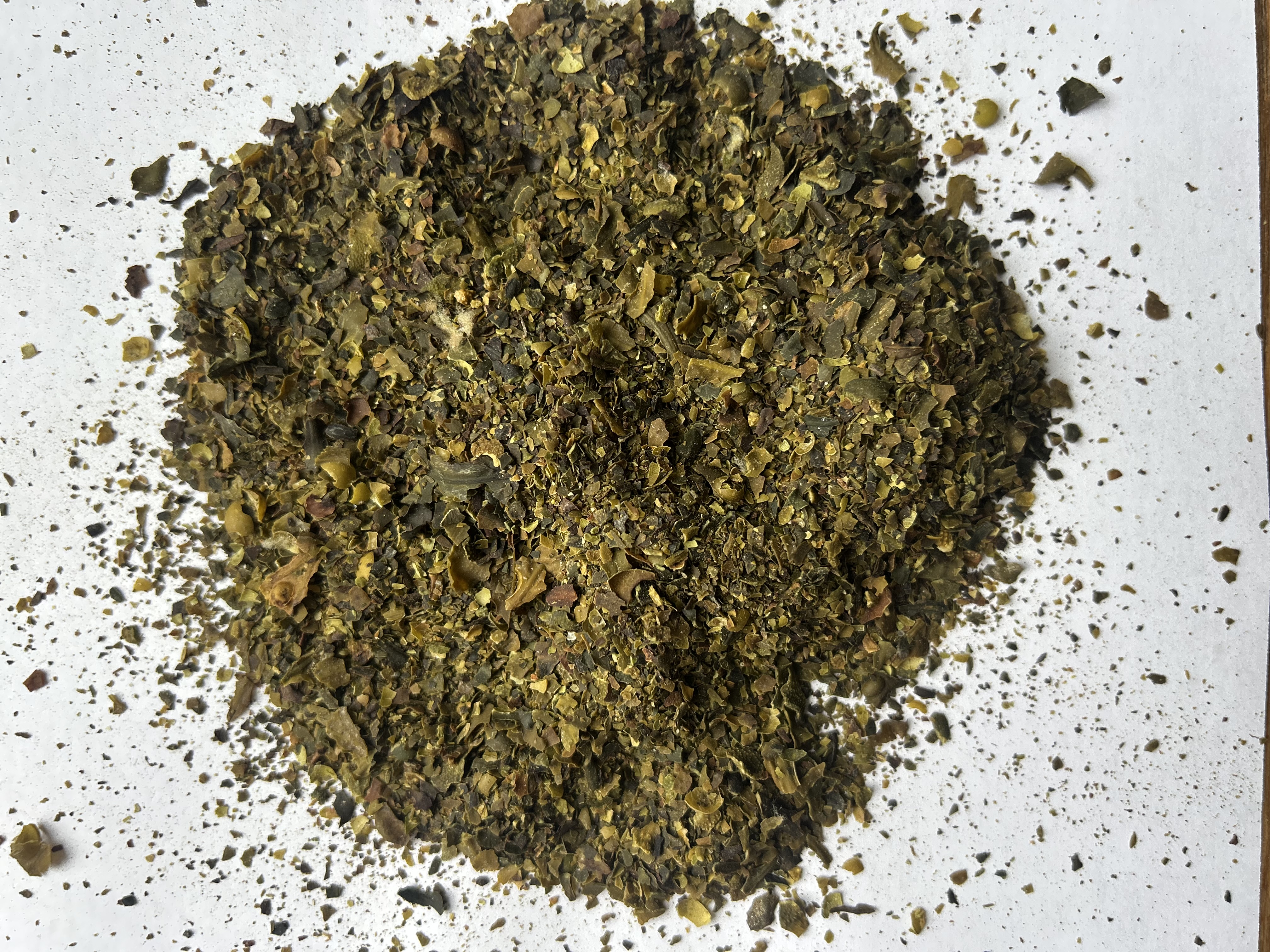 Fucus vesiculosus bio – Fertilisant marin naturel 