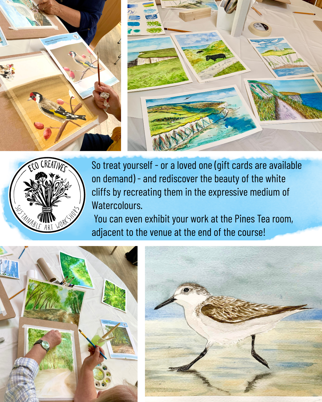 6 week Watercolour Course - inspired by the White Cliffs
