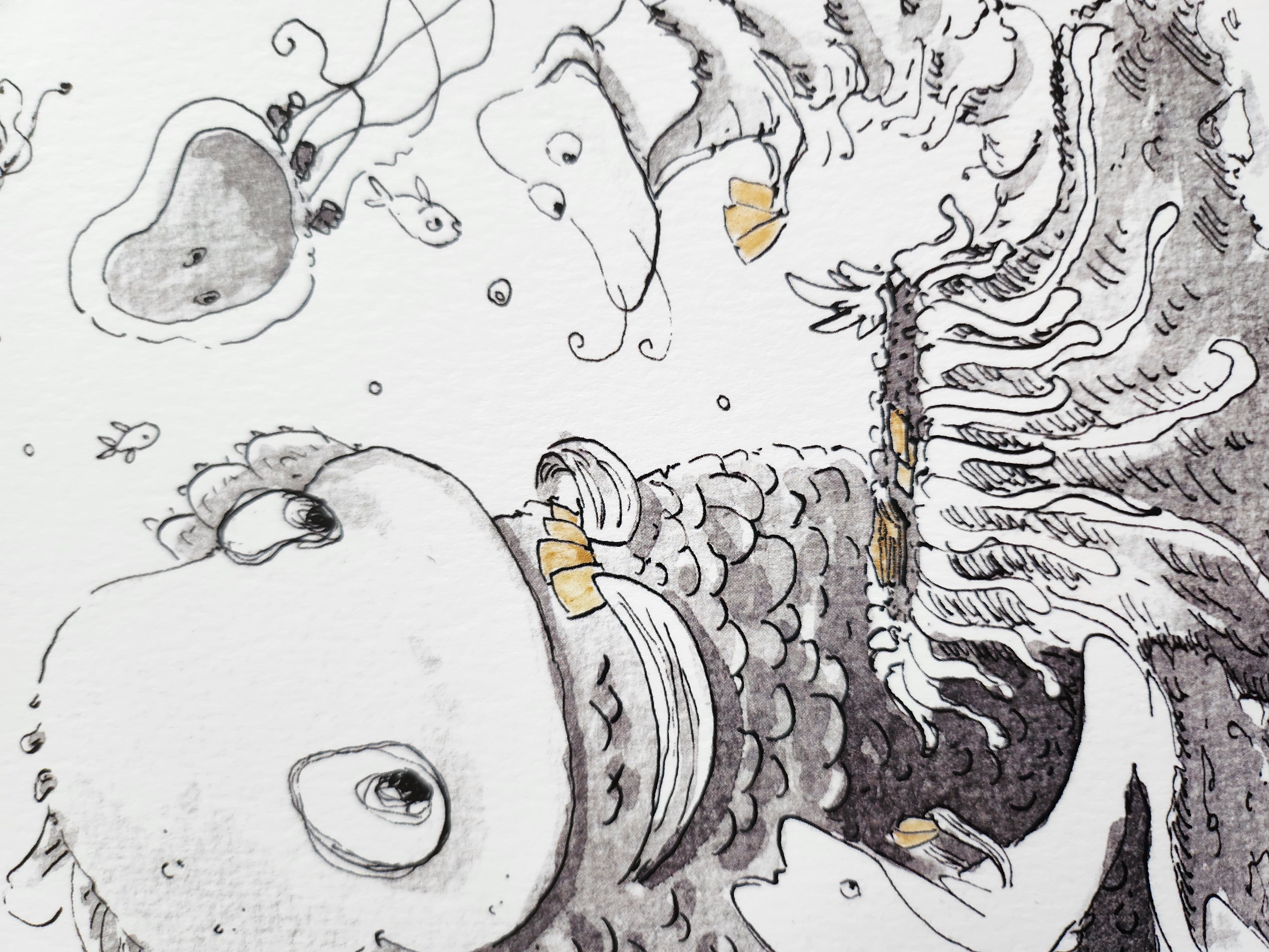 "Petite partie sous les mers"