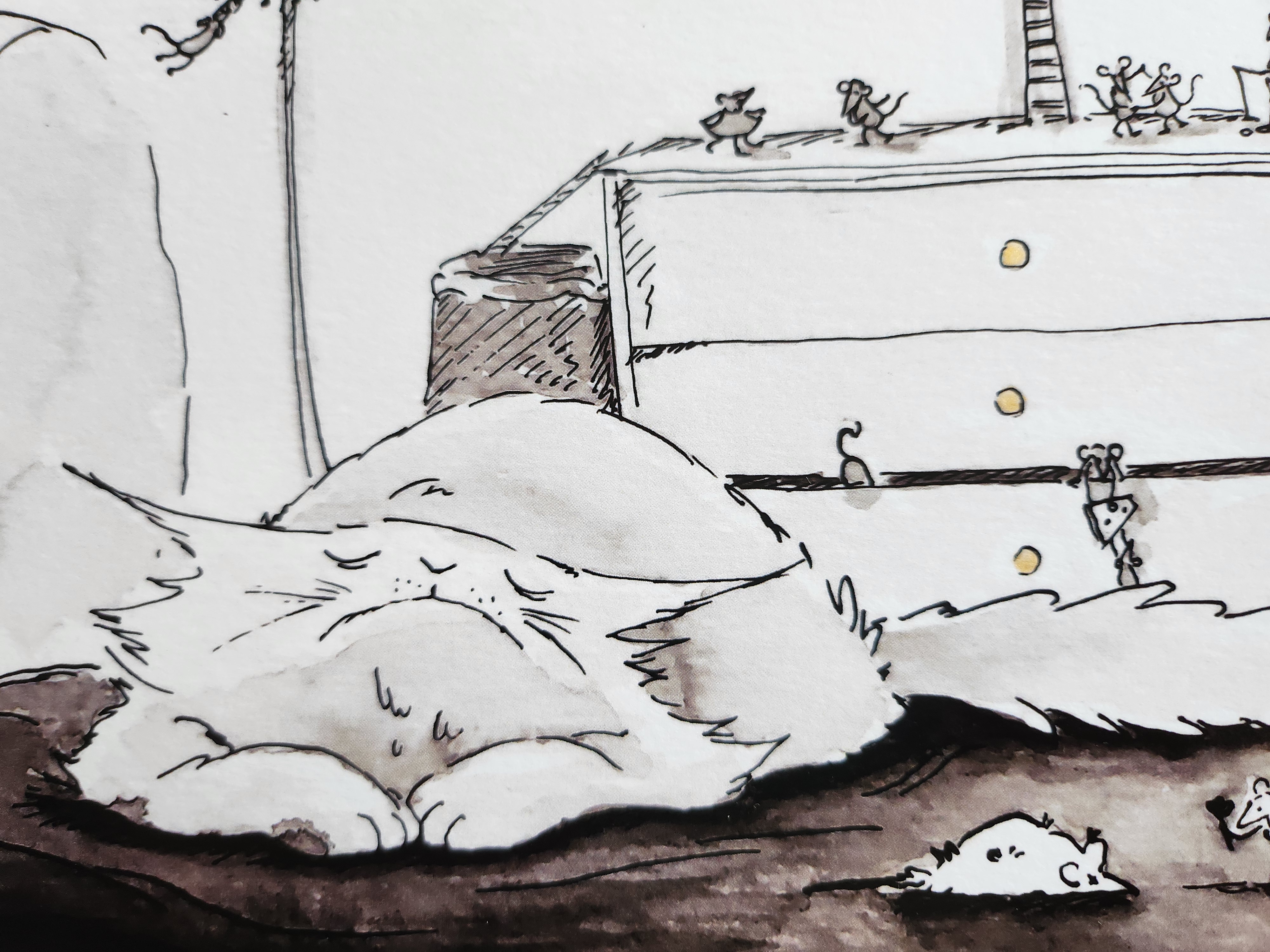 "Quand le chat dort..."