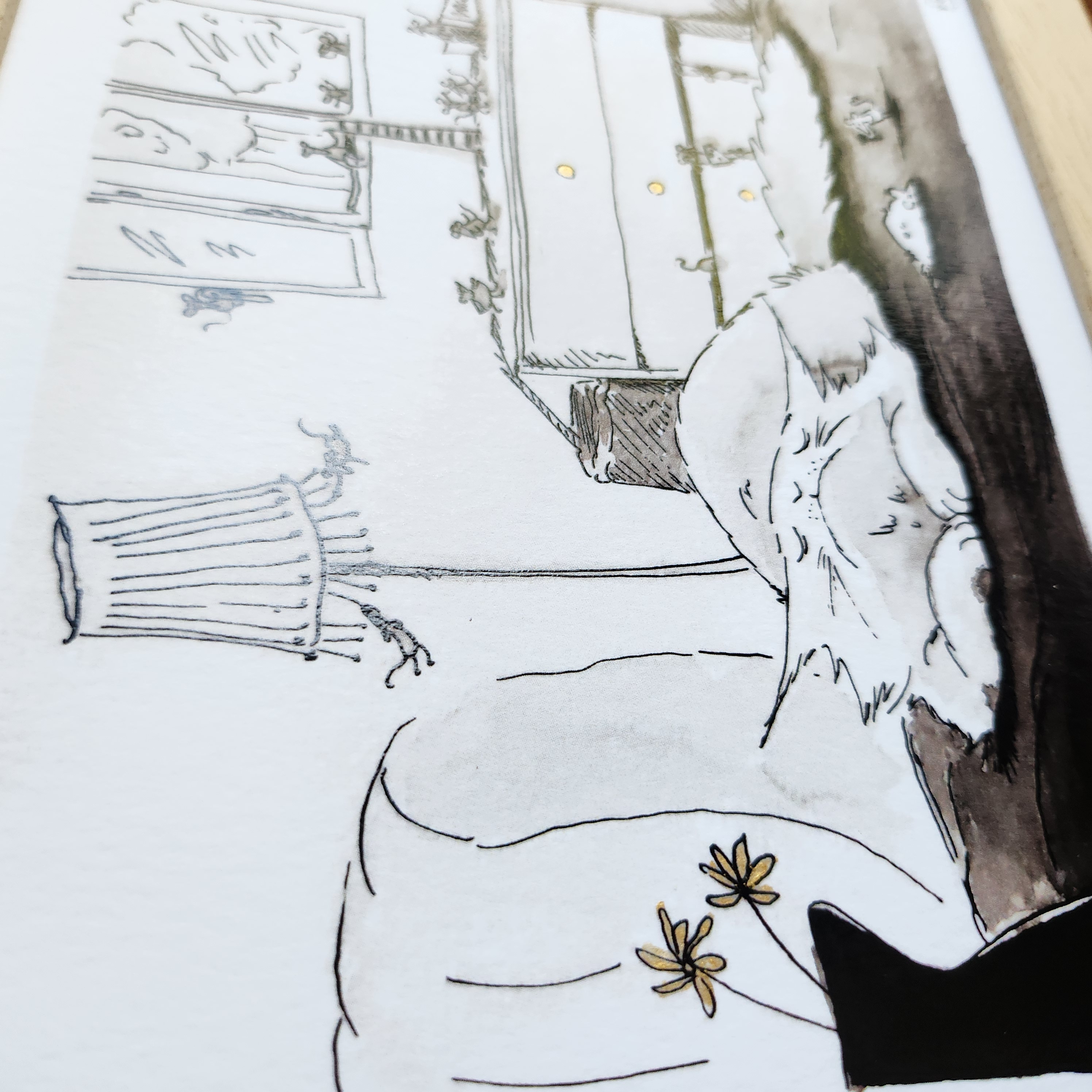 "Quand le chat dort..."