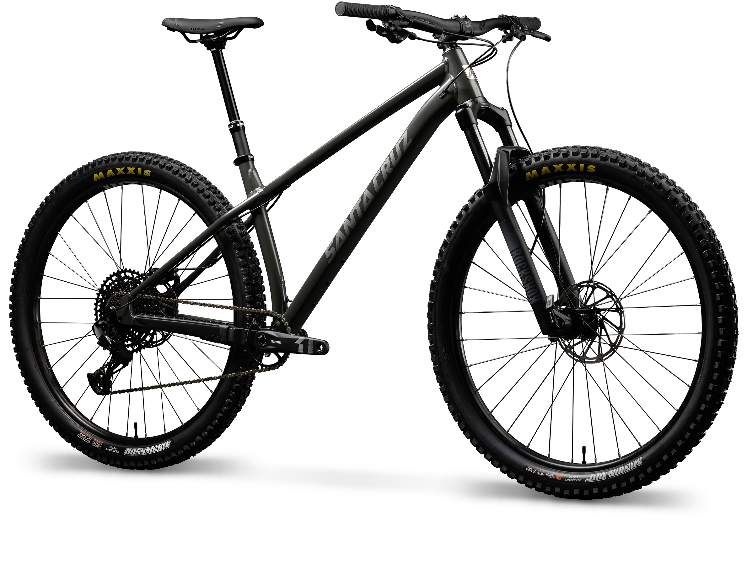 Santa Cruz Chameleon