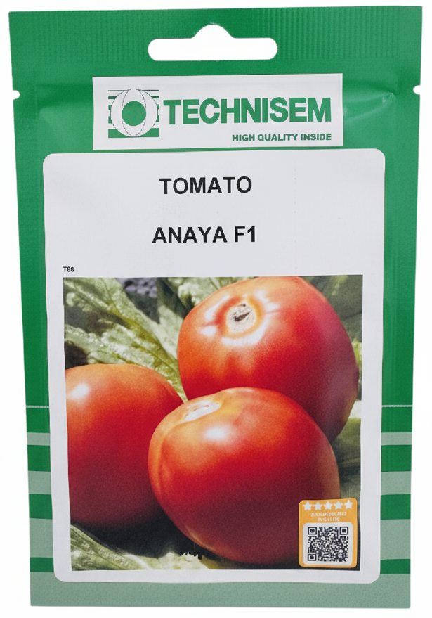 طماطم انايا هجين