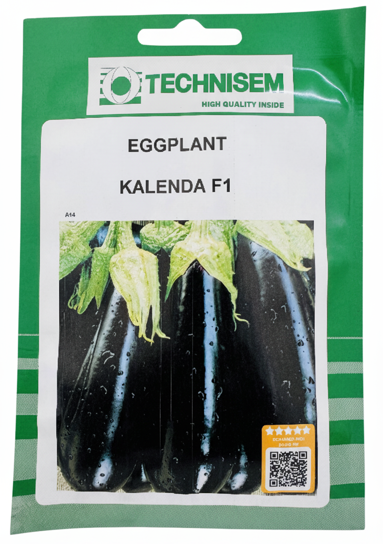 باذنجان كاليندا هجين