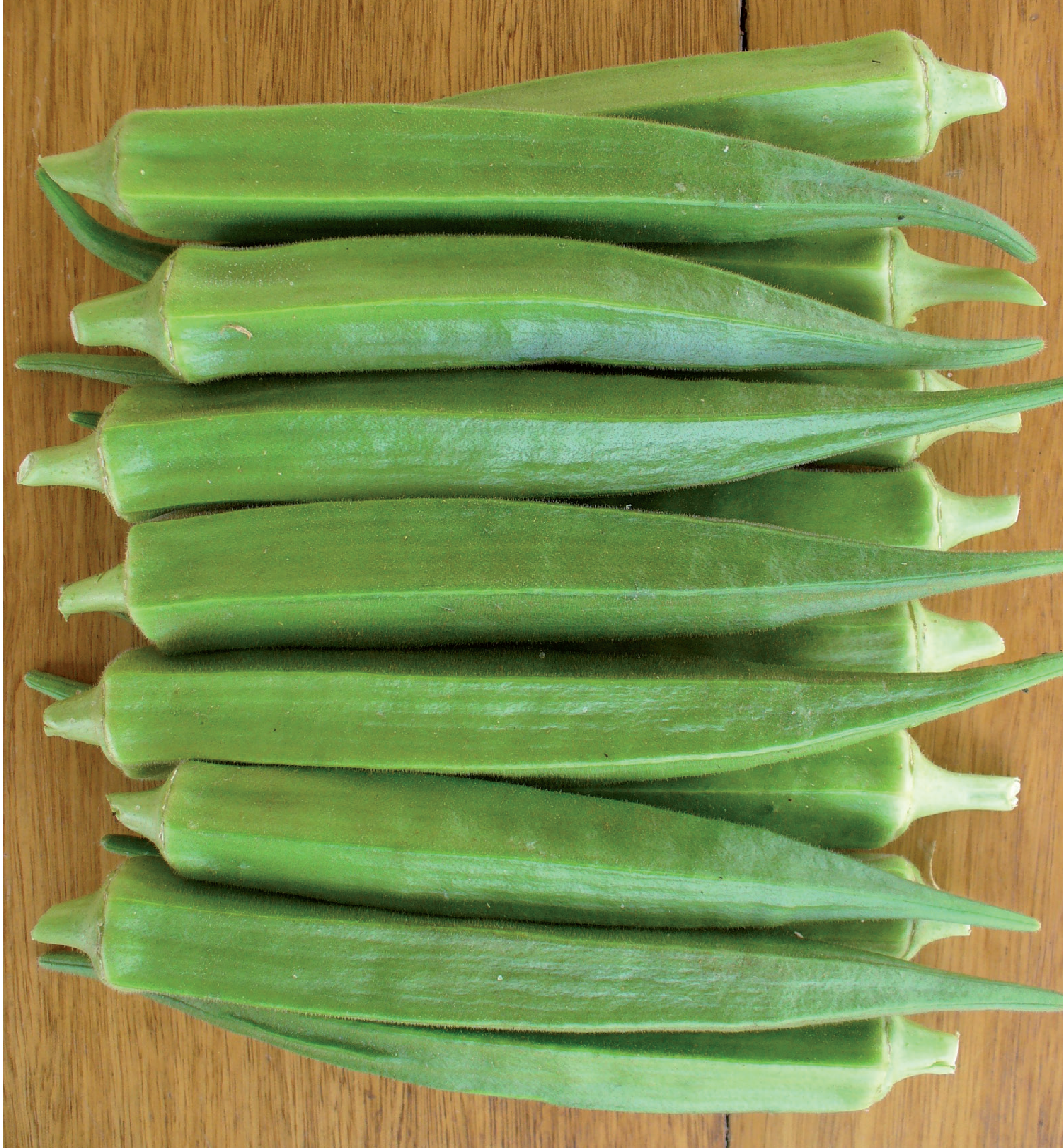 بامية ليما هجين 