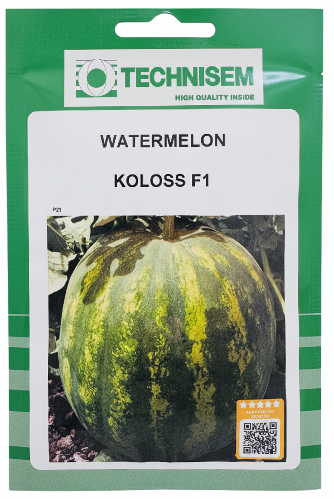 بطيخ هجين كلوس