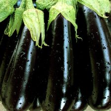 باذنجان كاليندا هجين