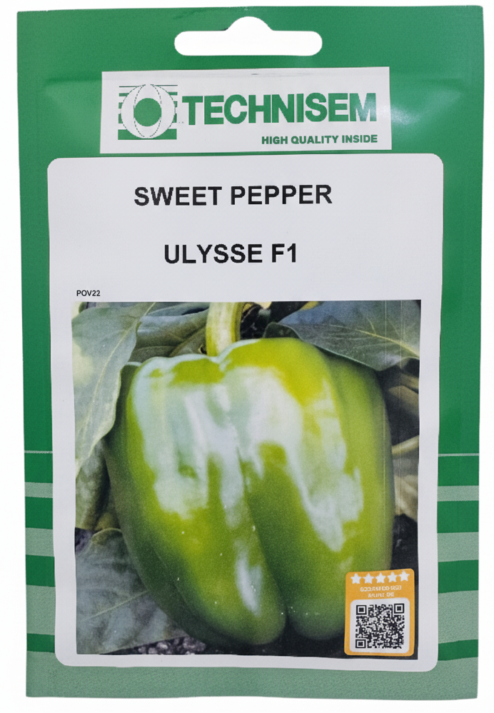 فلفل حلو يولييس هجين